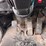 2000-peterbilt-379-image-81