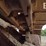 1999-caterpillar-d5c-xl-iii-image-28