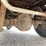 1997-ford-ranger-image-91