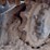 2022-bobcat-t770-image-23