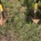 2012-john-deere-2210-image-8