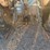 ford-4000-image-14