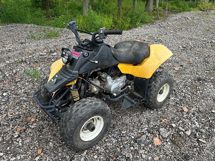 zebra-international-youth-atv-image-1