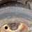 1997-freightliner-fld112-image-32