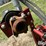 2013-case-ih-1250-image-11