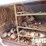 (r19-20)-4'w-x-4'h-x-22'l-rack,-w/-wood-timbers,-s-image-2