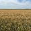 283-acres-of-franklin-county-real-estate-image-21