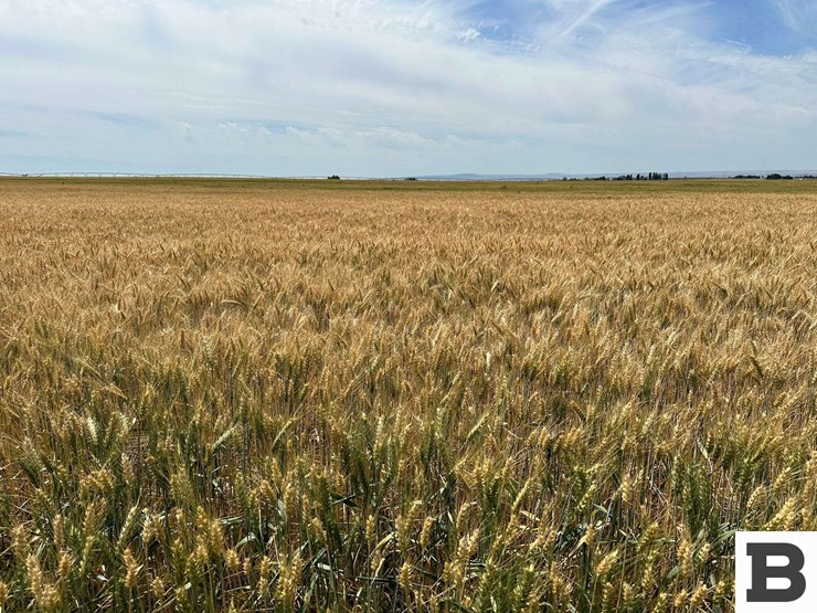 283-acres-of-franklin-county-real-estate-image-21