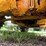 1999-jcb-520-image-31