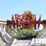 (f-1)-2019-service-king-super-series-waterwell-rig-image-18