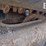 2017-takeuchi-tl12r2-image-34