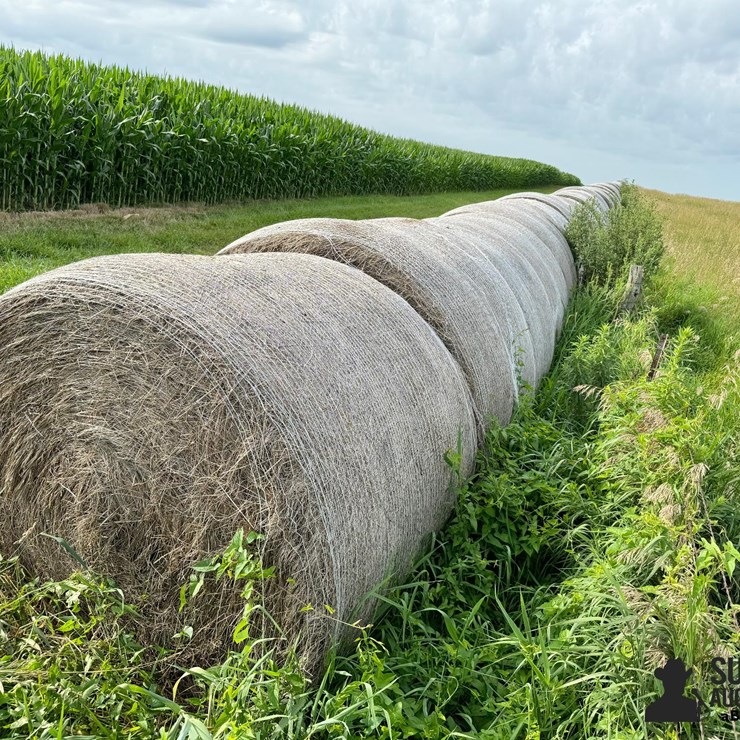 2024 Mixed Grass Hay Round Bales (BID PER UNIT)