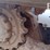 2022-bobcat-t770-image-31