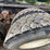 1992-kenworth-w900-image-13
