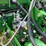 2014-john-deere-1770nt-image-15