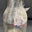 1014---huffman-quart-oil-bottle-image-3