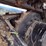 2019-caterpillar-307.5-image-28