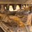 2020-caterpillar-289d3-image-11