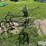 horse-drawn-cultivator-image-3