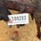 114---2---row-cultivator-tool-bar-image-7