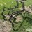 horse-drawn-cultivator-image-11