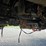 1993-ford-f800-image-67