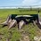 john-deere-444-image-2