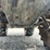 #25-•-honda-420-4x4-atv-vin:-1hfte3757a4100372-inv#:-25908-image-15