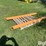 pallet-fork-extensions-image-1