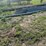 **sold-onsite-only---no-online-bids-will-be-accepted**-livestock-equipment-image-4