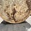 8,000-gallon-(approx.)-fiberglass-liquid-feed-storage-tank-image-7