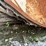 15,000-gallon-(approx.)-steel-liquid-feed-storage-tank-image-16