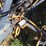 crust-buster-3200-image-17