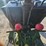 john-deere-1630-image-33