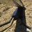quality-plus-1624-belt-conveyor-image-10