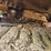 1988-deere-650g-lgp-image-43