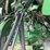john-deere-9870-sts-image-95