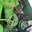 1995-john-deere-9500-image-13