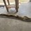 tow-strap-and-log-chains-image-2