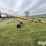 westfield-wr100-31-auger-image-4