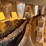 2016-caterpillar-259d-image-11