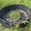 tractor-tire-water-trough-image-2