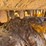 2020-caterpillar-259d3-image-10