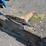 bobcat-hb880-skid-steer-rock-hammer-image-4