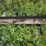 yard-rake-image-2