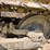 caterpillar-d4d-image-85