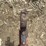 international-1100-image-9