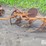 massey-ferguson-3-image-8