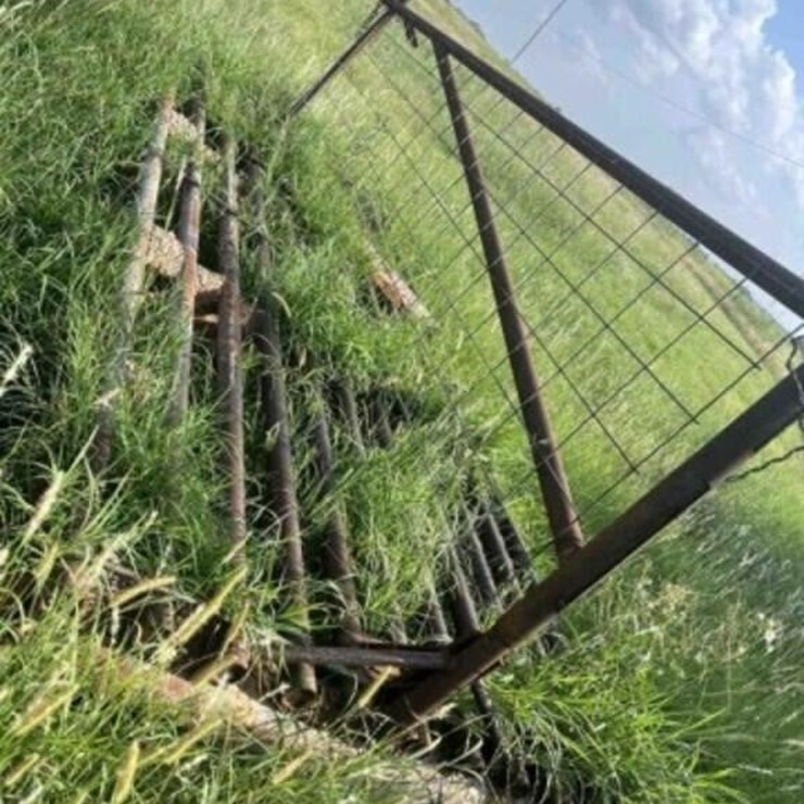 6'x15' Cattle Guard