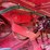 case-ih-1660-image-10